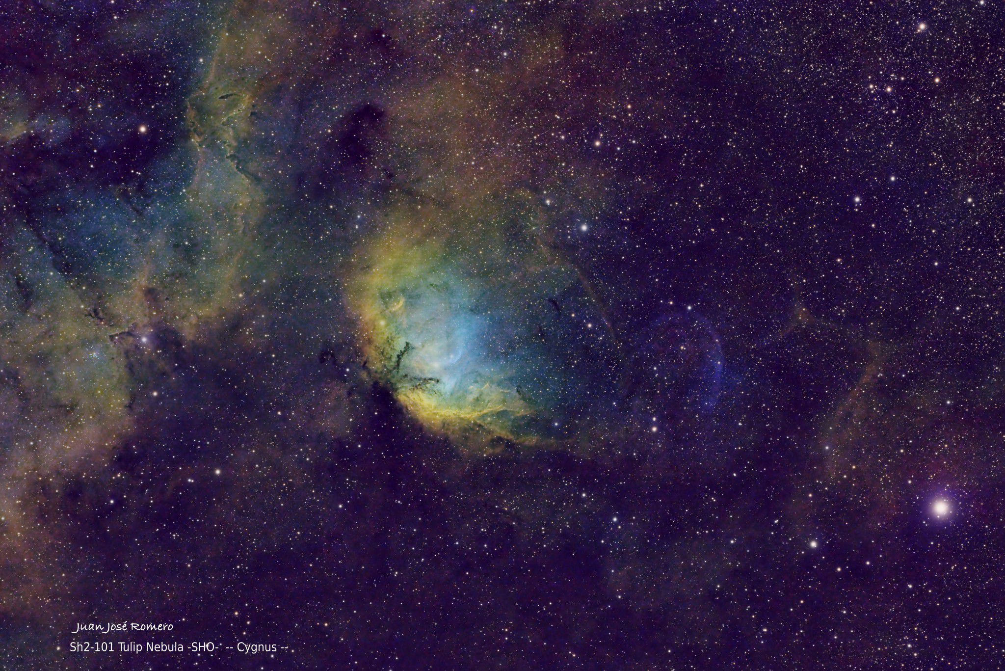 SHO composition: Sh2-101 – Tulip Nebula