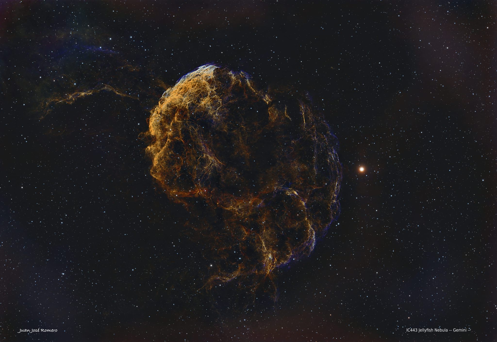 IC443, Jellyfish Nebula