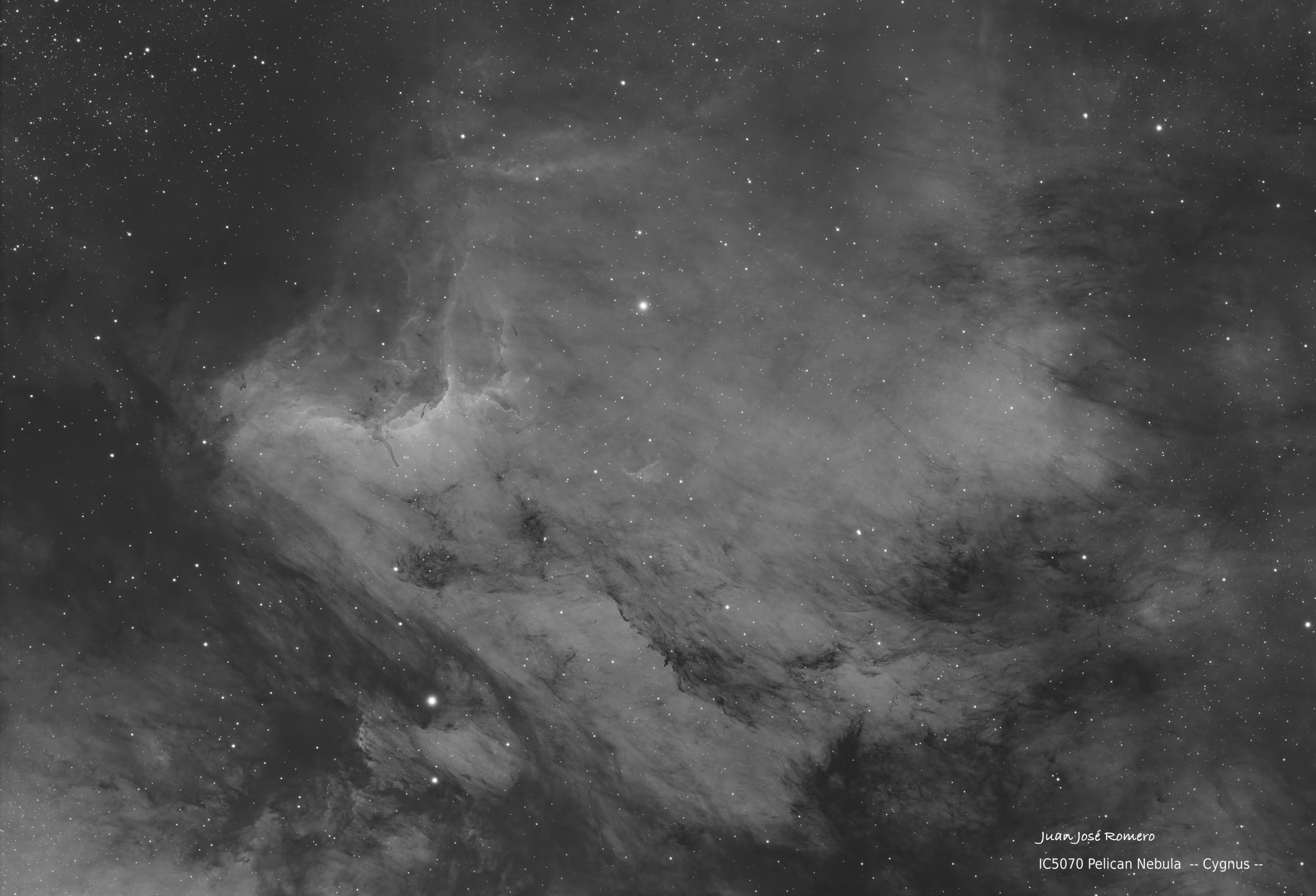 IC 5070 (Hα) – Nebulosa del Pelicà