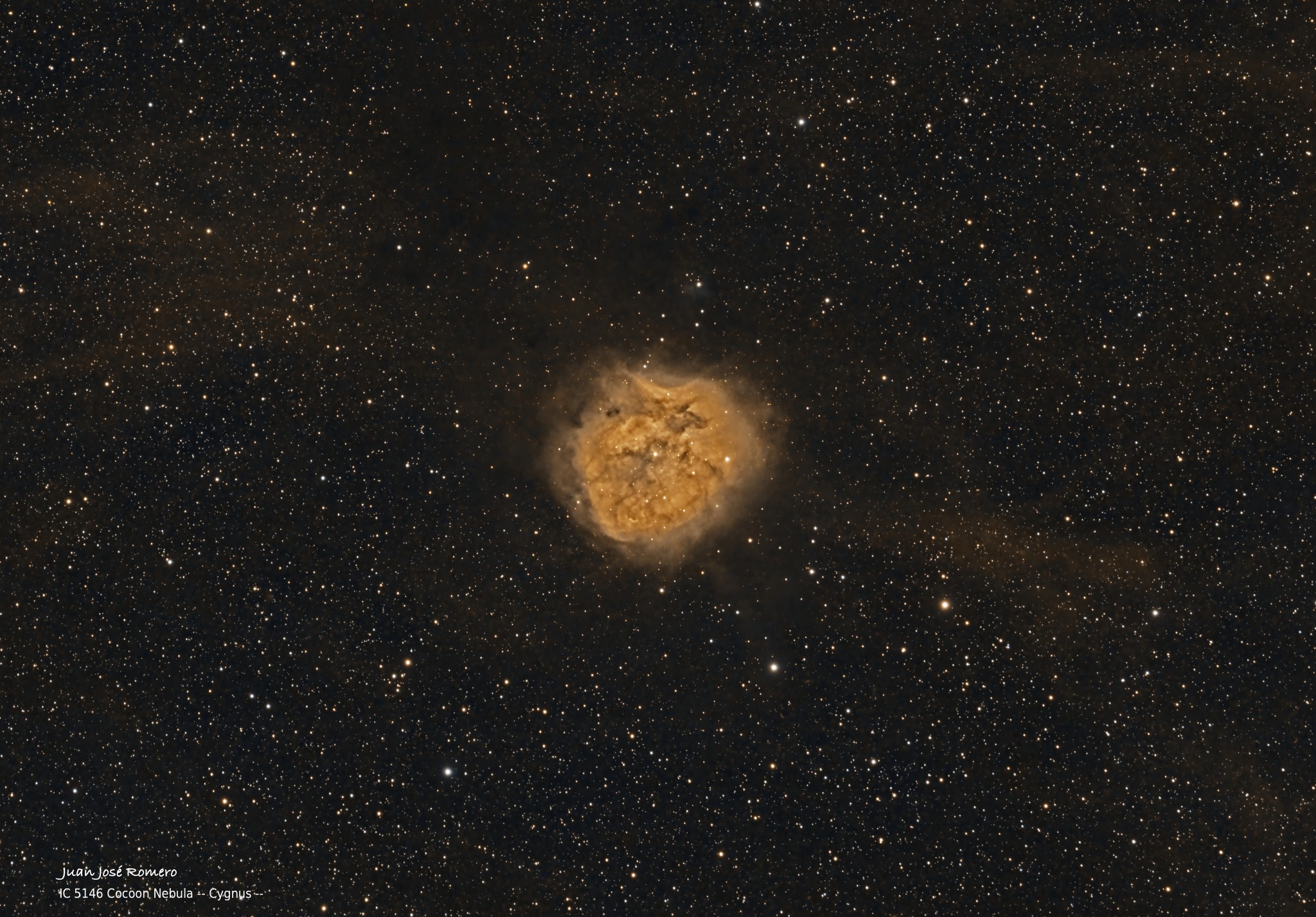 IC5146 – Nebulosa del Capoll (SHO)