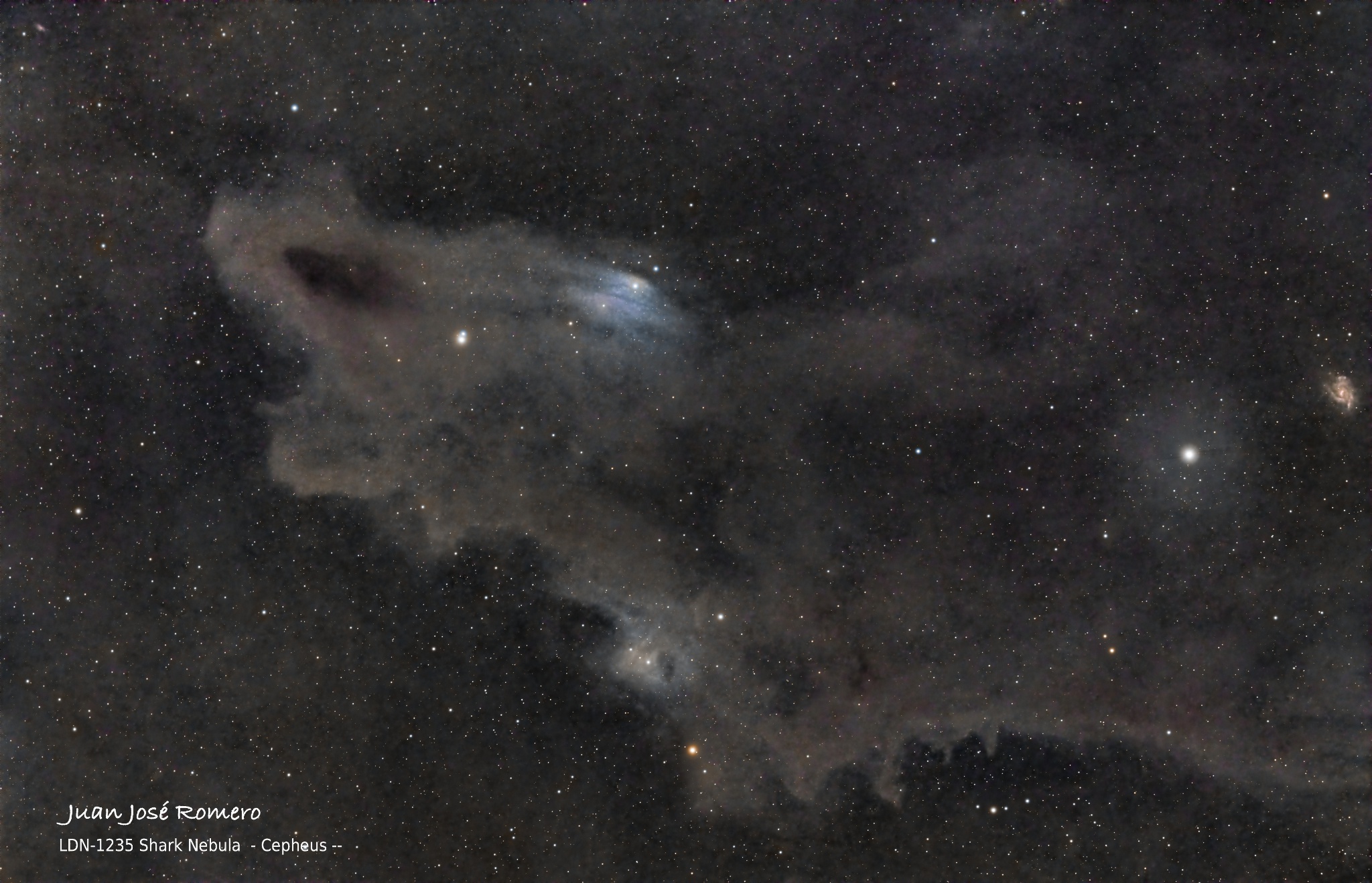 LDN1235 – Nebulosa del Tauró