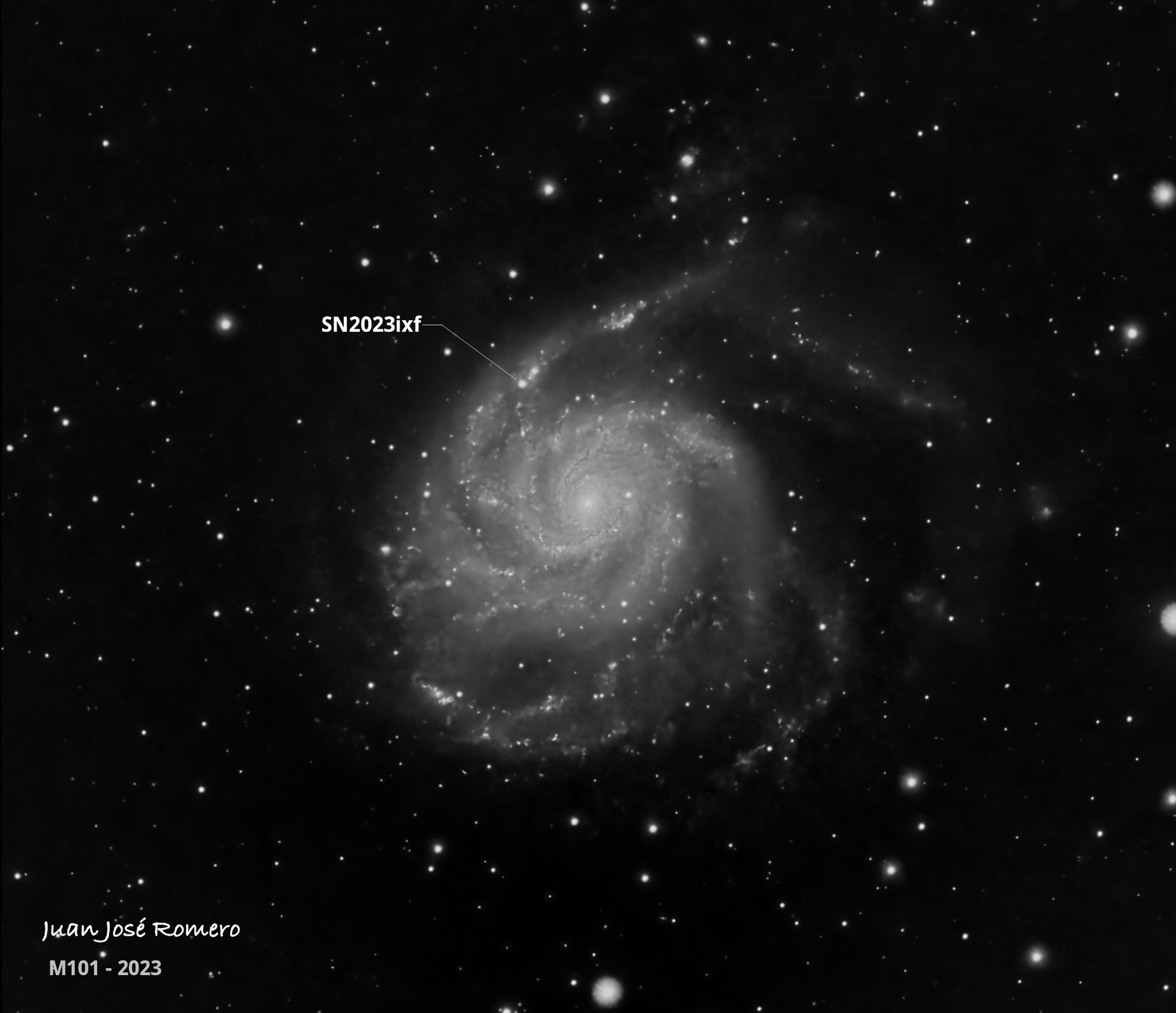 Astronomical photograph of M101 – Supernova SN2023ixf