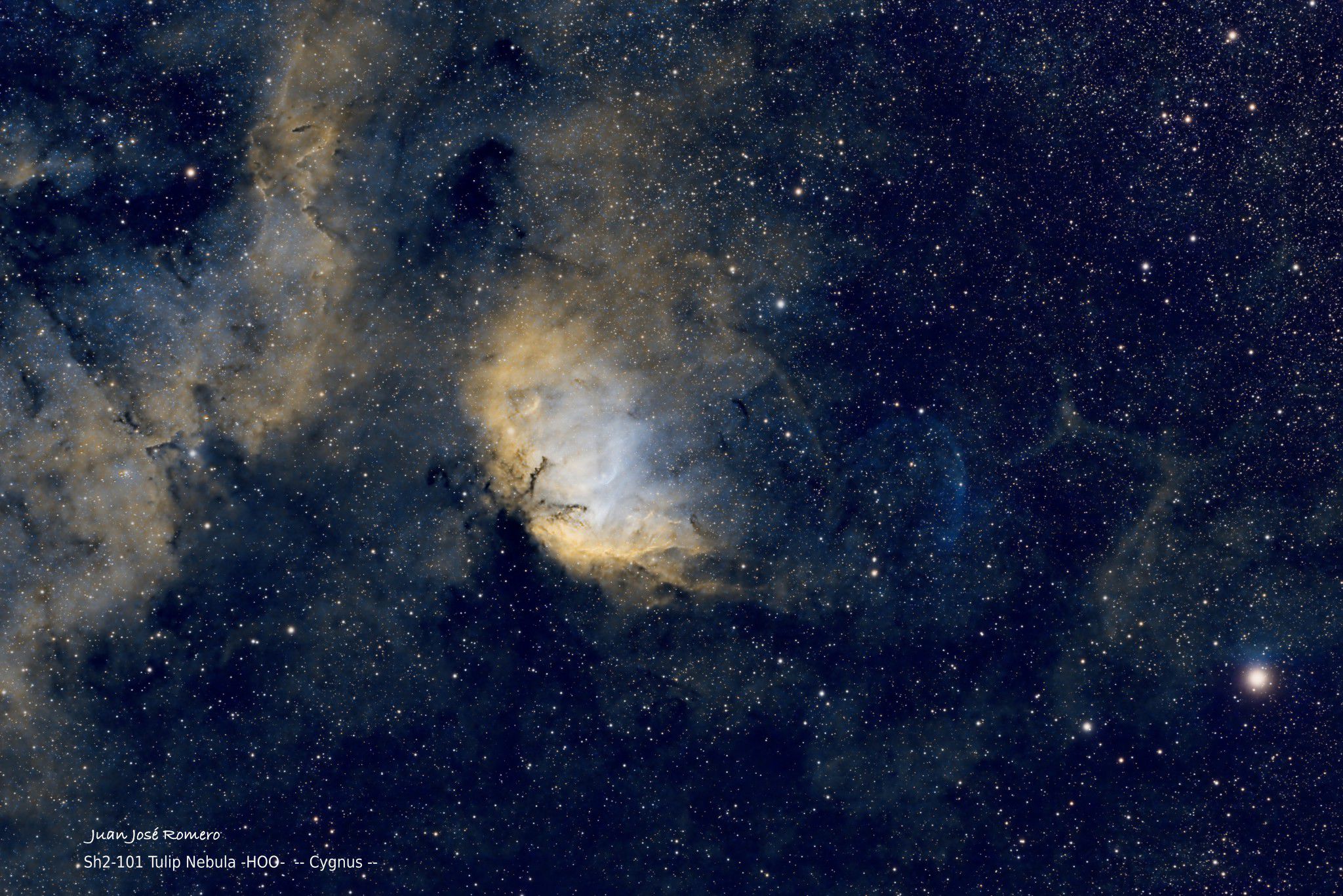 Sh2-101 – Nebulosa del Tulipà