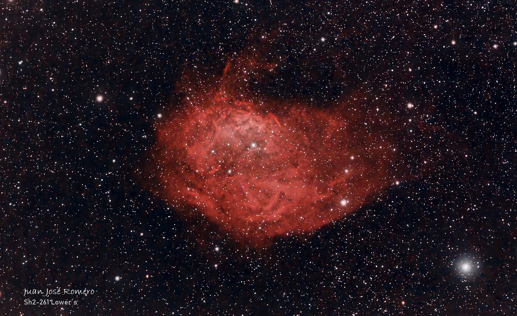 Sh2-261 – Nebulosa de Lower